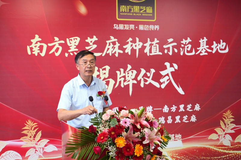 图片 4.png